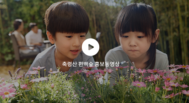 축령산 편백숲 홍보동영상 썸네일 이미지